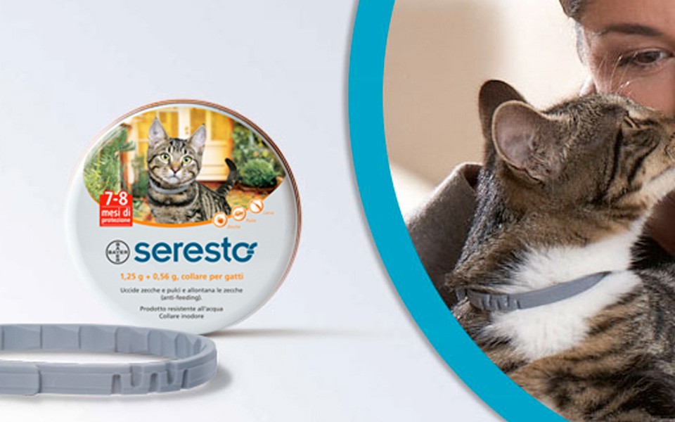 seresto-gatto